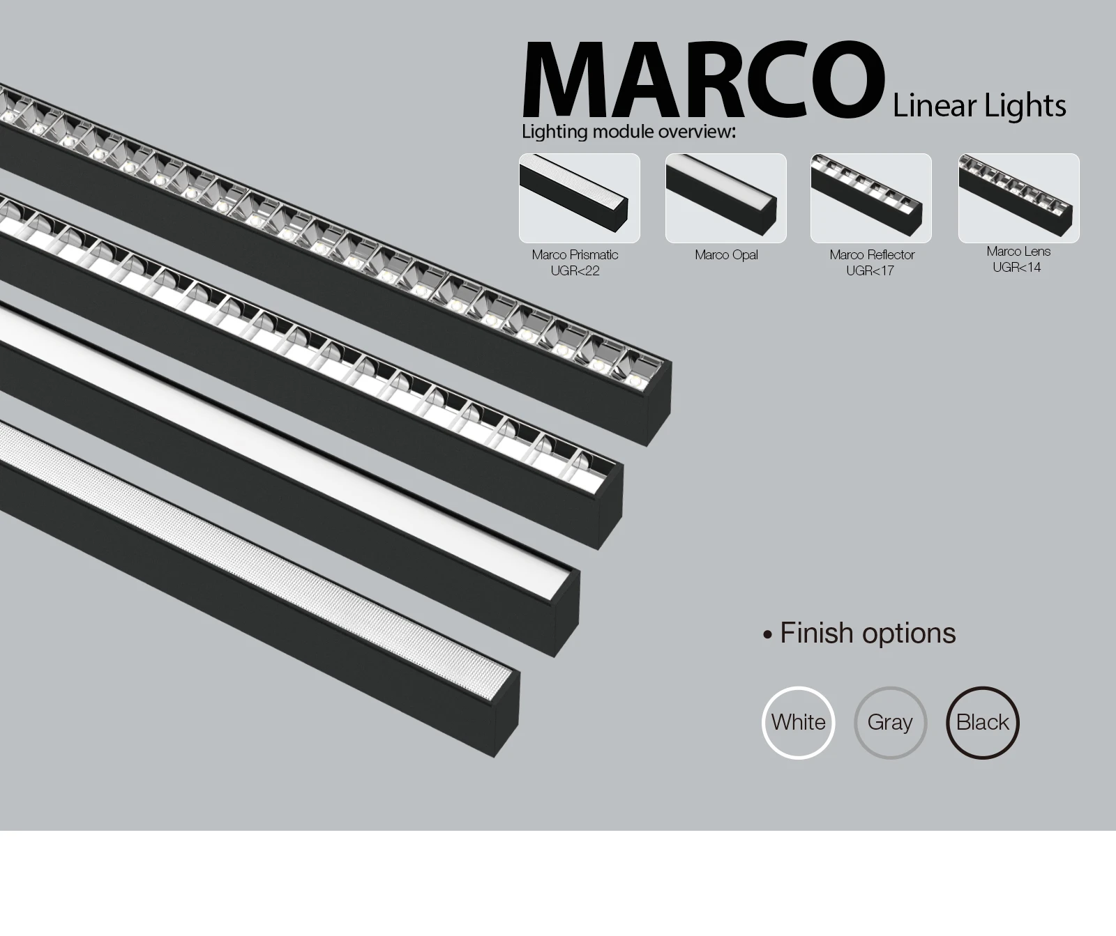 Marco01 Marco01
